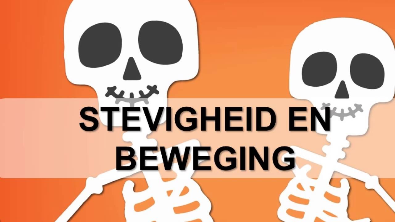 Het skelet van de mens