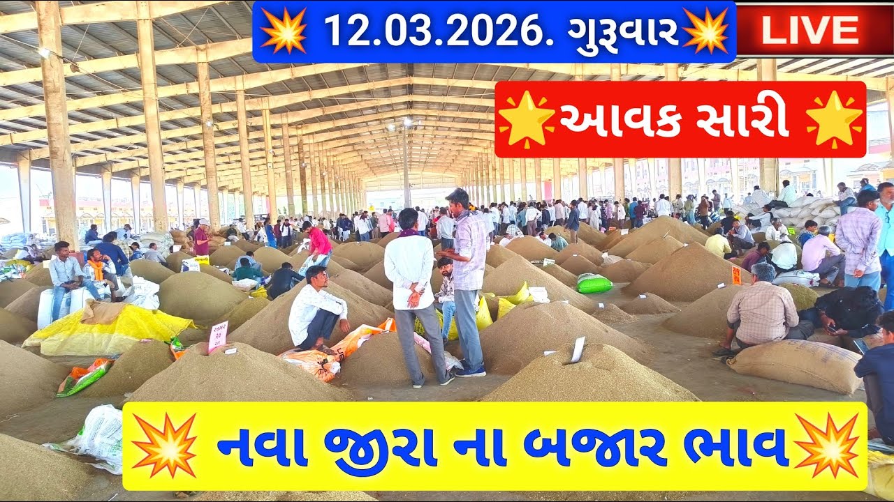 🔴live નવા જીરા ના બજાર ભાવ આજના જસદણ માર્કેટિંગ યાર્ડ, jeera auction price today,March 12, 2026