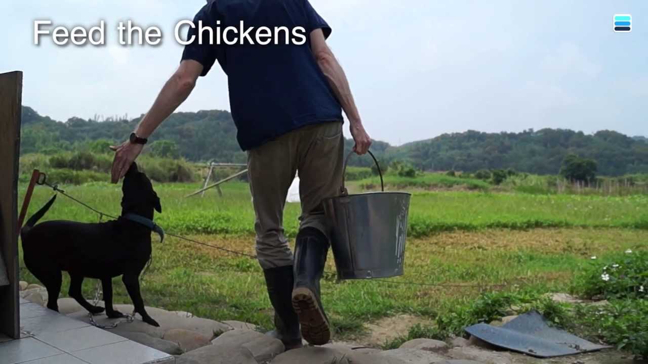 English Streams Lesson 