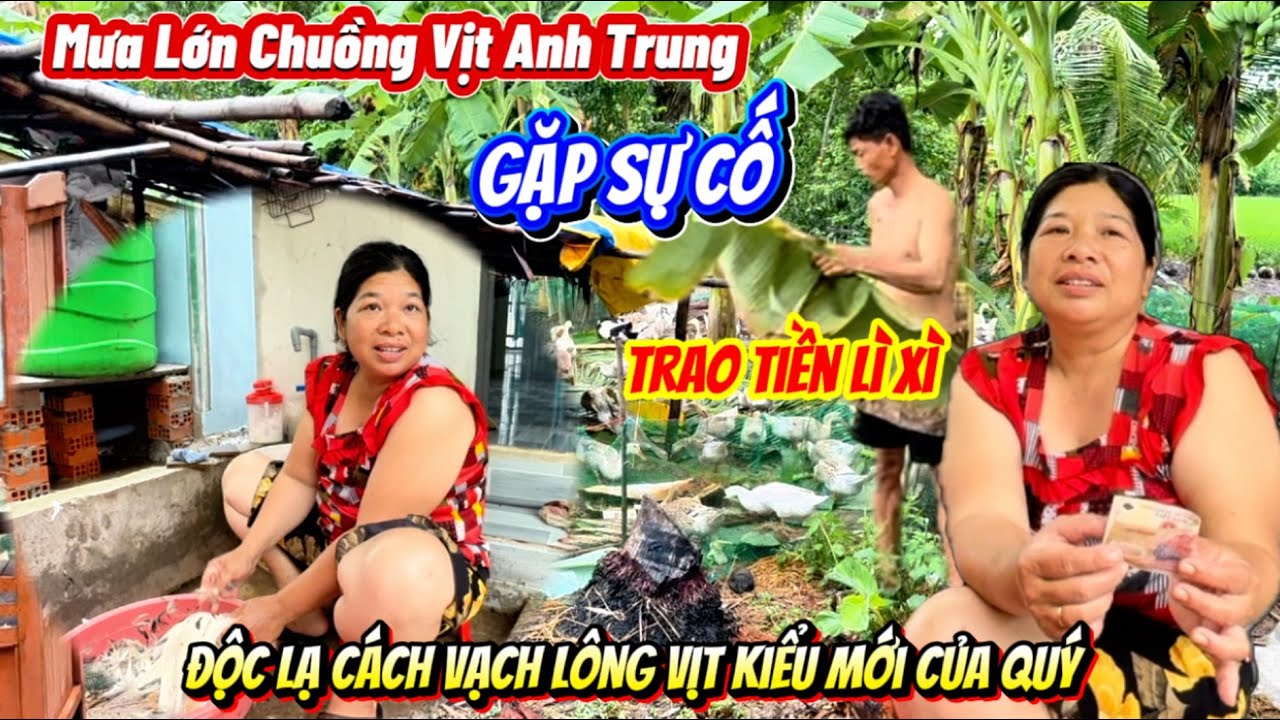 Đến Trao Lì Xì cho con của Quý hay tin mưa lớn Chuồng Vịt Trung gặp sự Cố. Quý vạch lông-vịt lạ quá 