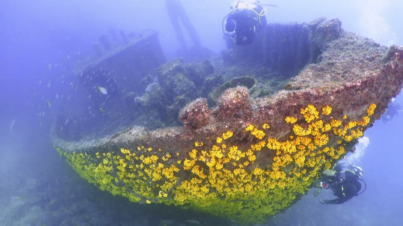 The Kwarcit Wreck, Sal, Cape Verde. Also known as the Boris.