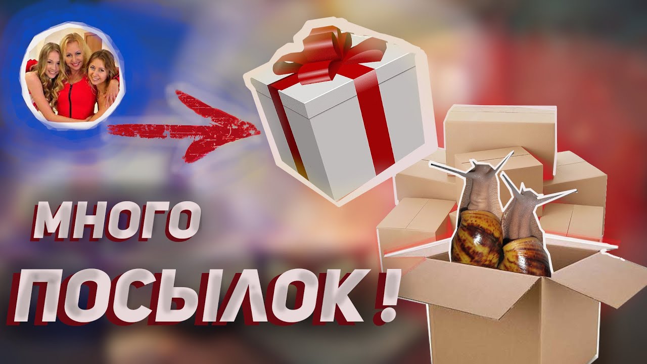 РАСПАКОВКА ПОСЫЛКИ ОТ ТАТЬЯНЫ ЧЕРНЫШ , Н.РУМАН , А.ЗЕЛЕНКО || АРХАХАТИНА МАРГИНАТА СУТУРАЛИС АКРО