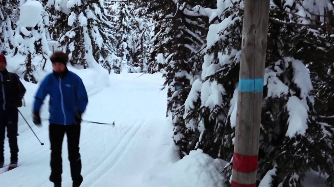 Krokskogen