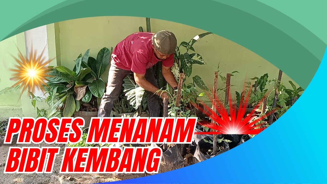 TASYA ROSMALA - KERANDA CINTA, TAJAMNYA KARANG, BENCI || OM ADELLA FULL ALBUM TERBARU 2025
