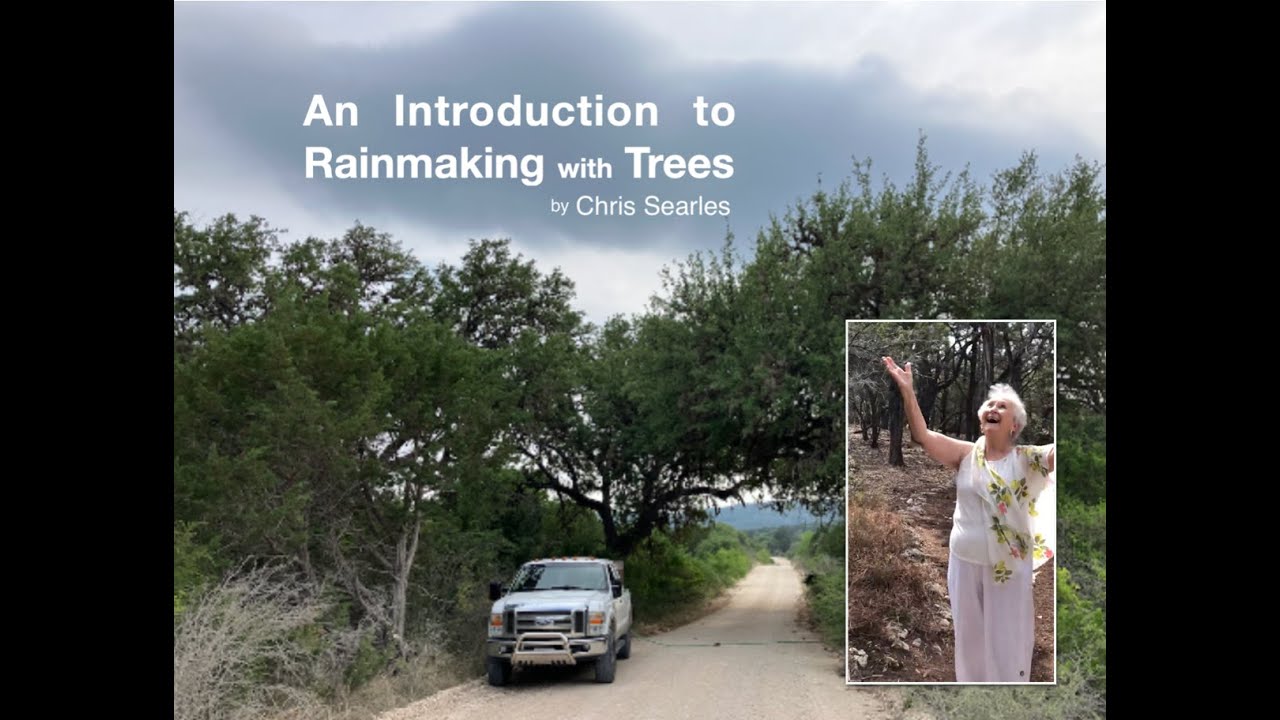 An Introduction to Rainmaking with Trees (Chris Searles)