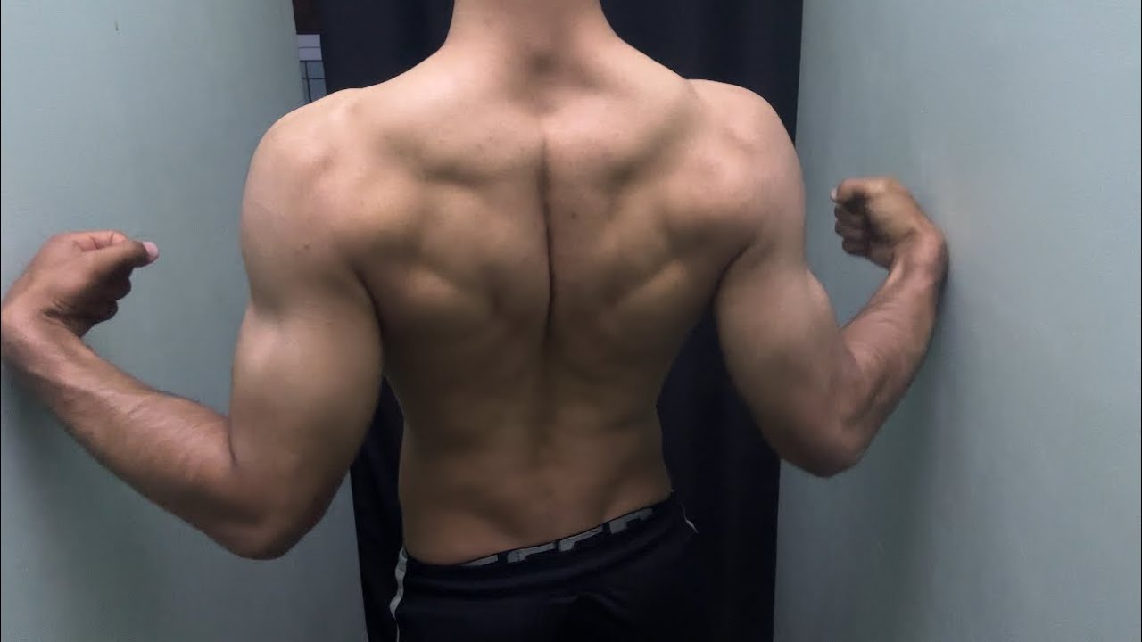 Train your back at home || Back || workouts || biceps ||