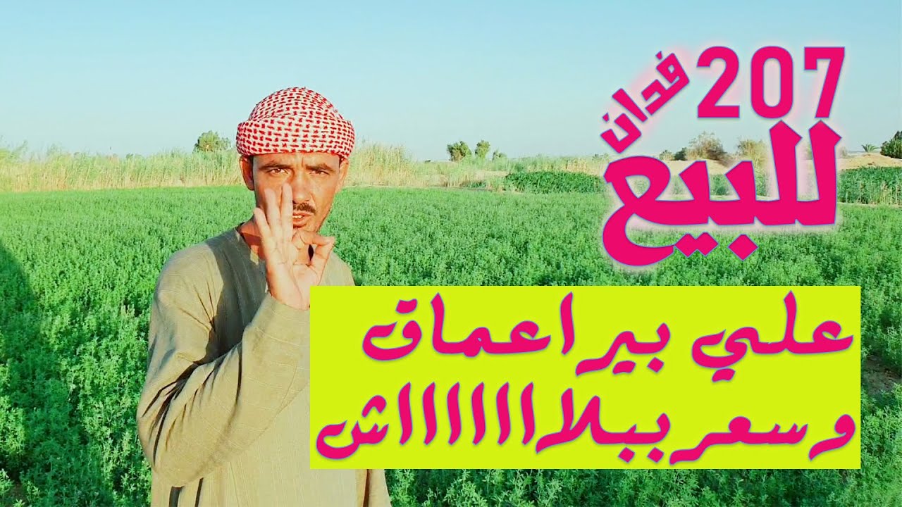 للبيع وبأرخص سعر في مصر 207 فدان