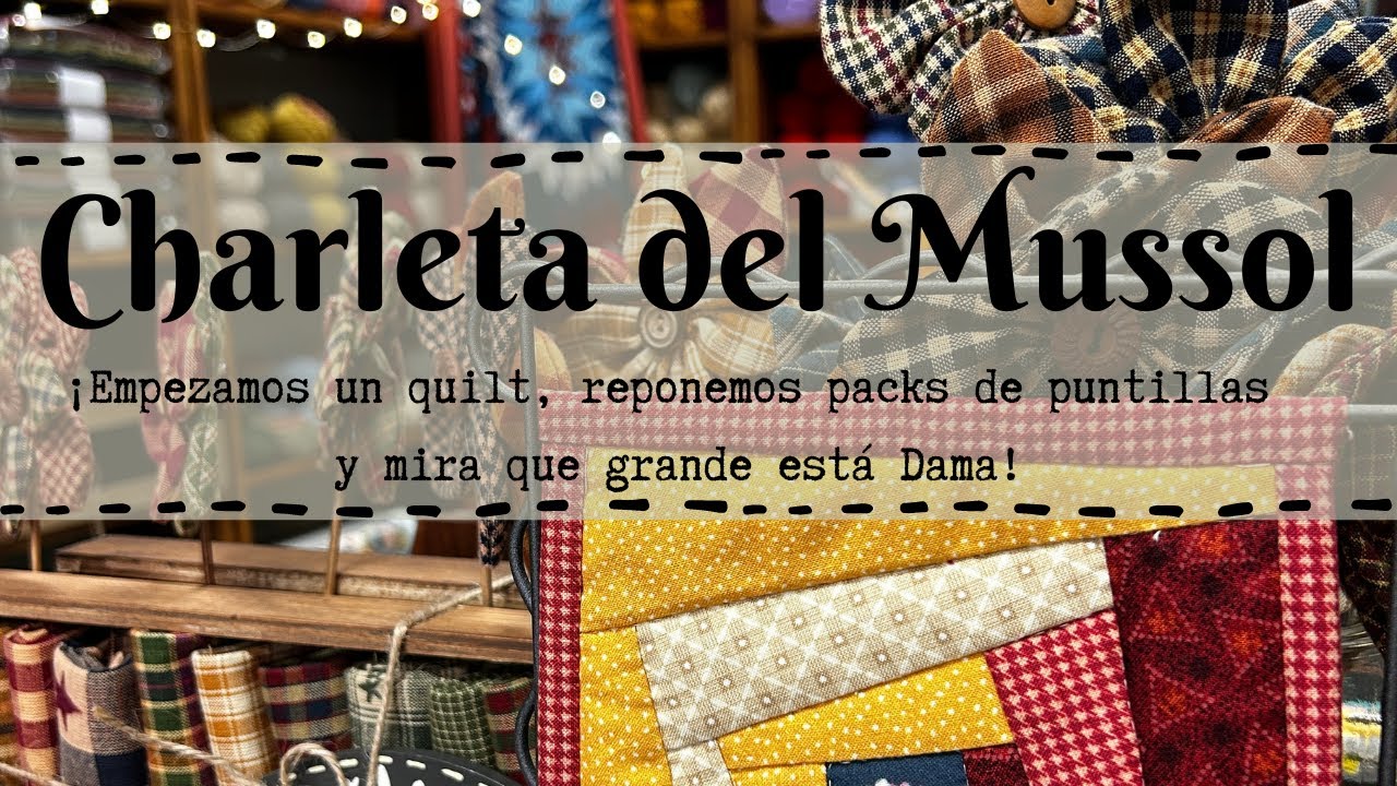💫 ¡Empezamos un QUILT, reponemos PUNTILLAS y opinan sobre el próximo TUTORIAL!🐶