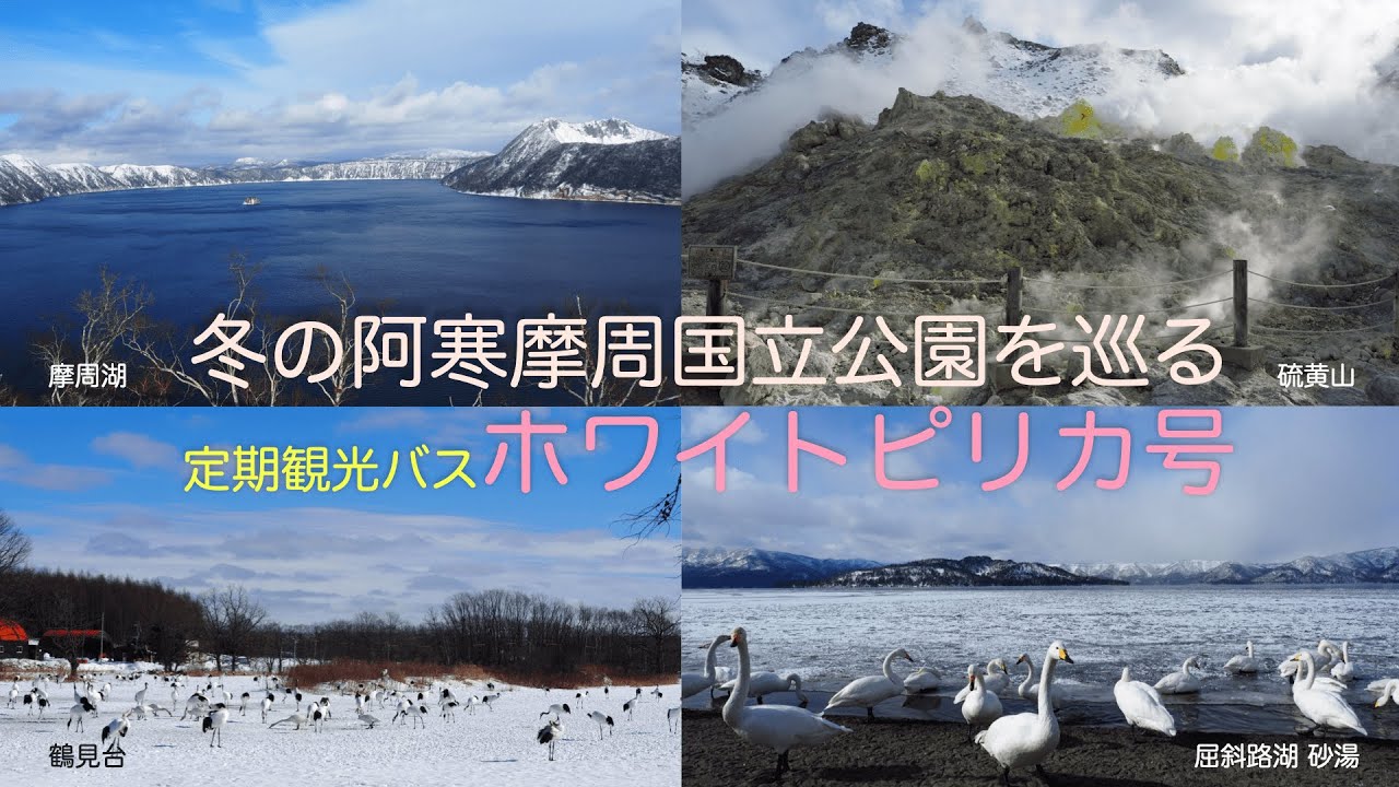 【冬の阿寒摩周国立公園観光の定番コース！】ガイド付き 定期観光バス ホワイトピリカ号　昼食の摩周豚丼も好評です。