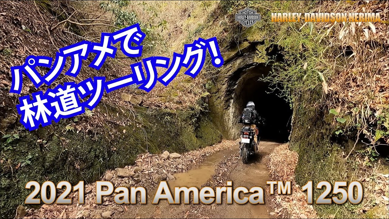 パンアメリカ5台で房総半島の林道へ行ってきました！ハーレー練馬のパンアメTEAM、ブロックタイヤに履き替えて春のDOA走破を目指して砂利道走行の練習ツーリングです。