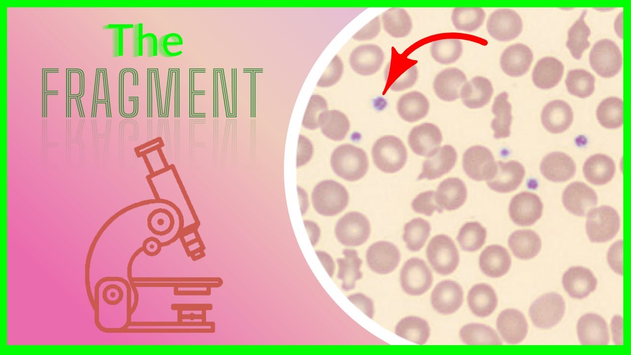 Understanding Platelets | Heme Ed