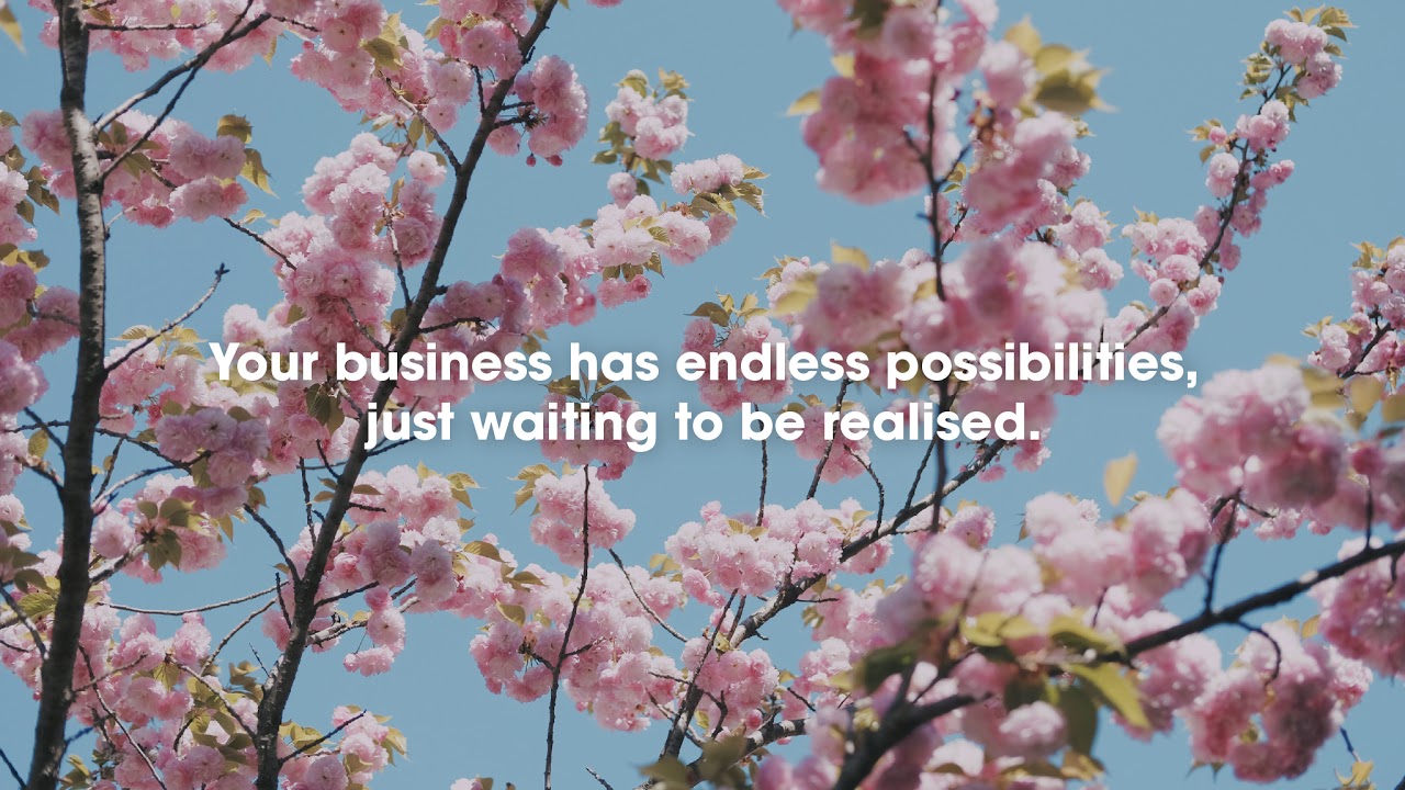 SME Access to finance + credit scores !