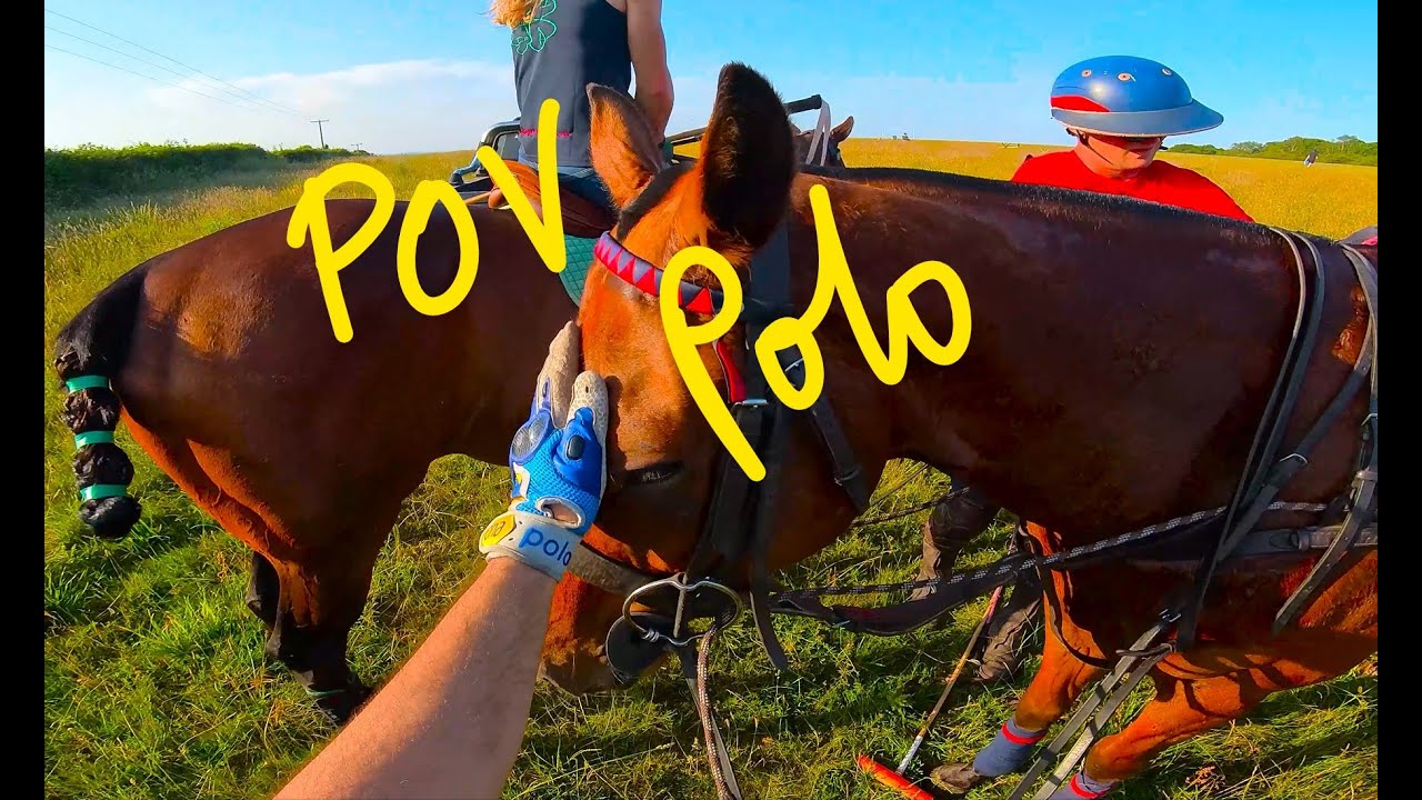 POV Polo