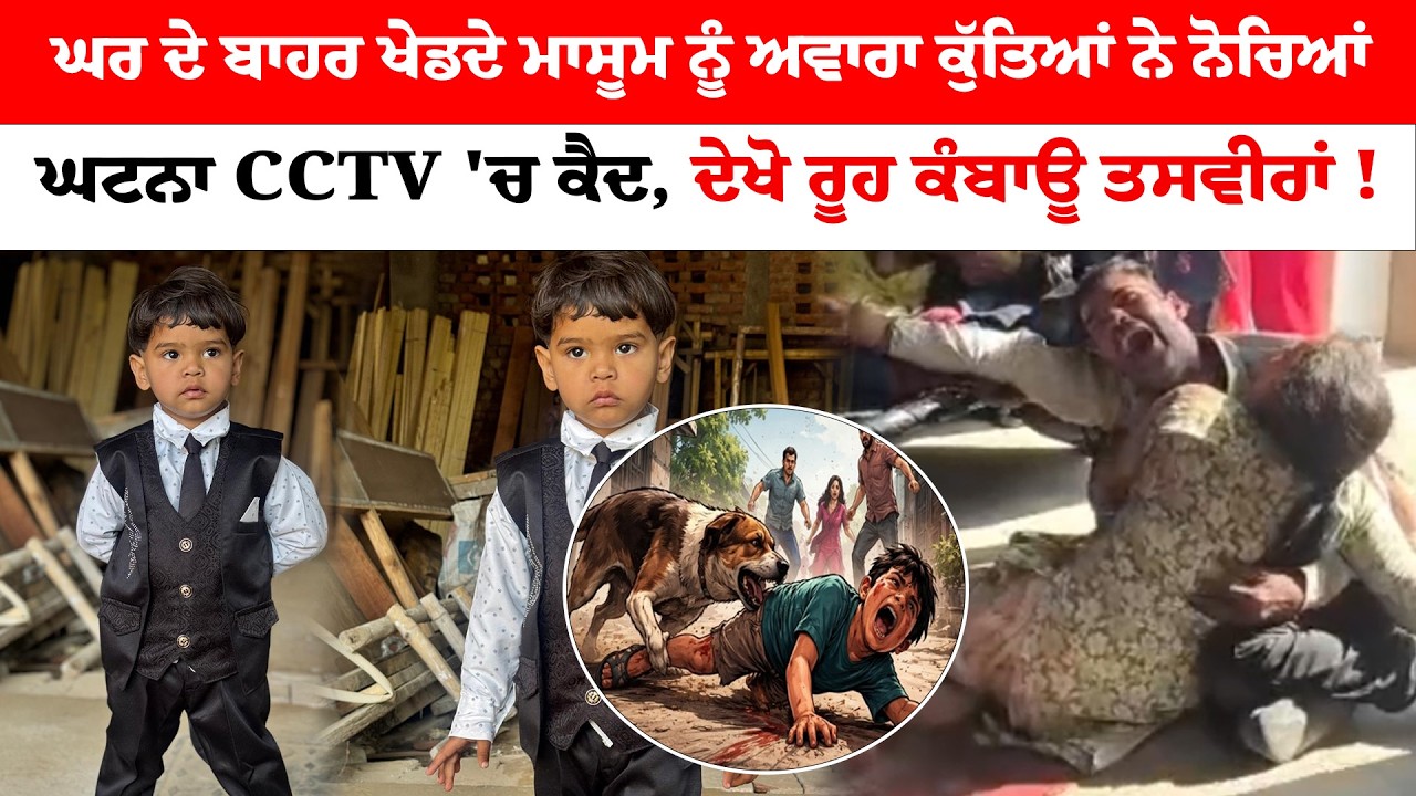 ਘਰ ਦੇ ਬਾਹਰ ਖੇਡਦੇ ਮਾਸੂਮ ਨੂੰ ਅਵਾਰਾ ਕੁੱਤਿਆਂ ਨੇ ਨੋਚਿਆਂ ਘਟਨਾ CCTV 'ਚ ਕੈਦ,ਦੇਖੋ ਰੂਹ ਕੰਬਾਊ ਤਸਵੀਰਾਂ !