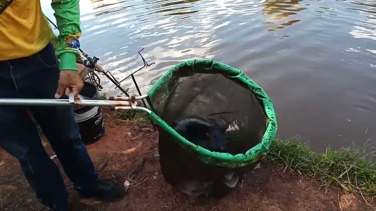Passeio no pesqueiro comenta se vcs quer mais ? 