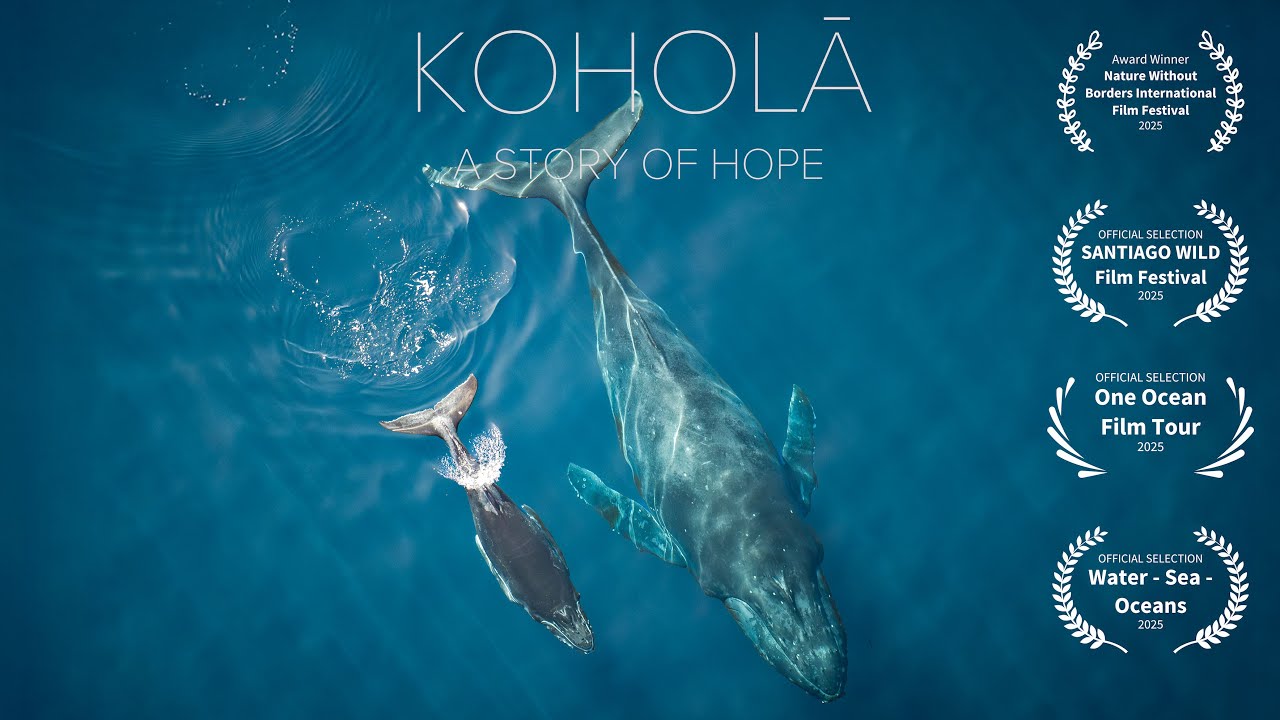 Koholā | Full documentary | Nature Without Borders Award Winner