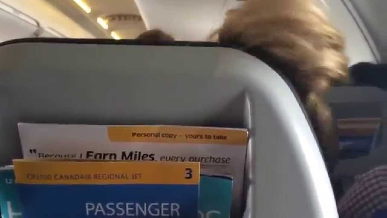 Head bobble on the airplane