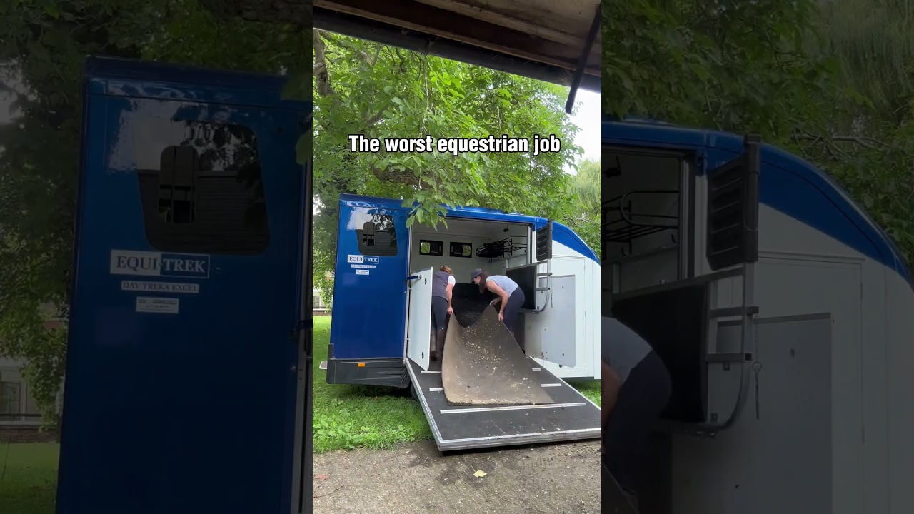 WORST HORSE JOB EVER ☠️