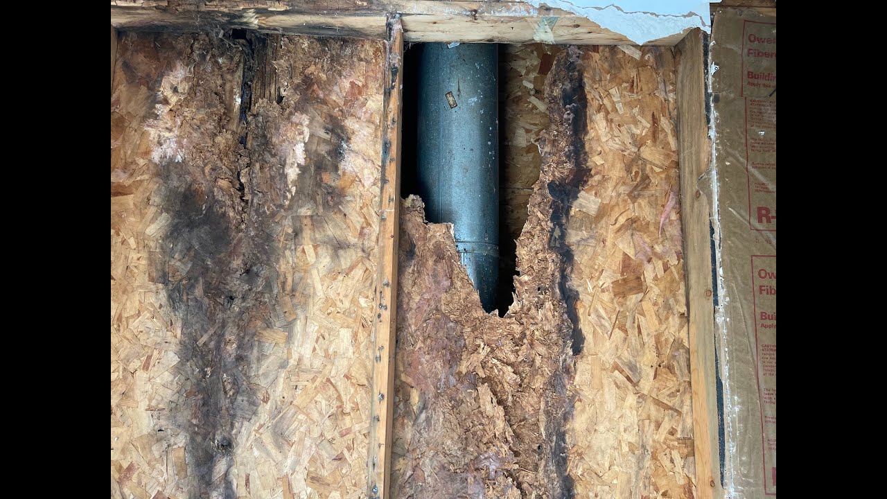 Repairing a rotted exterior wall Part 1