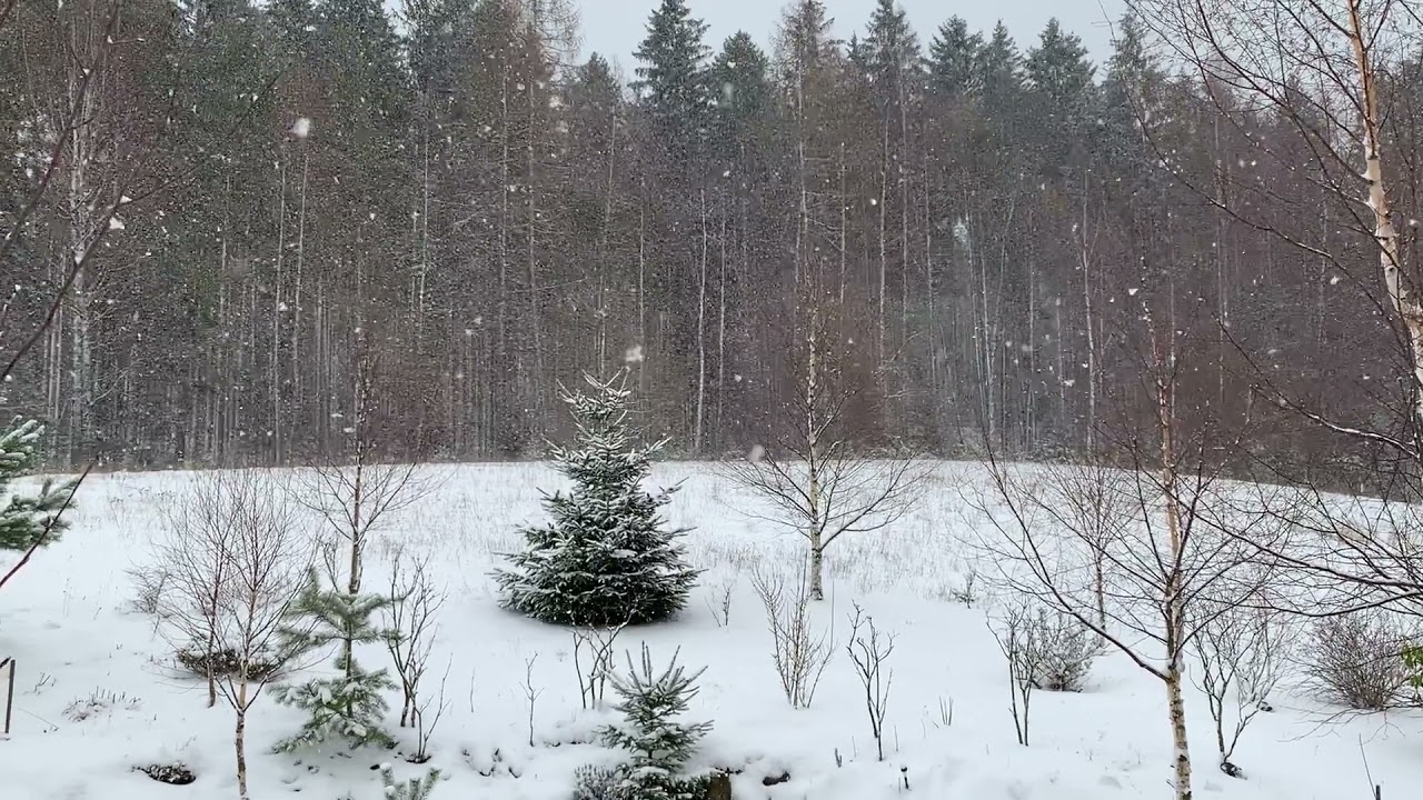 Dom w G&oacute;rach Stołowych, MyWeek Zimą :)