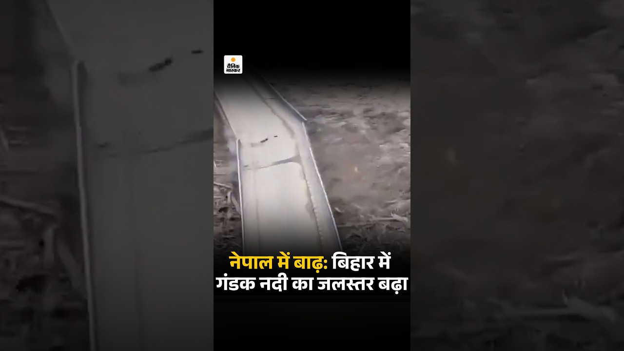 Nepal Flash Flood: नेपाल में बाढ़, बिहार में गंडक नदी का जलस्तर बढ़ा,  भैंस-फ्रिज बहकर आए, हाई अलर्ट