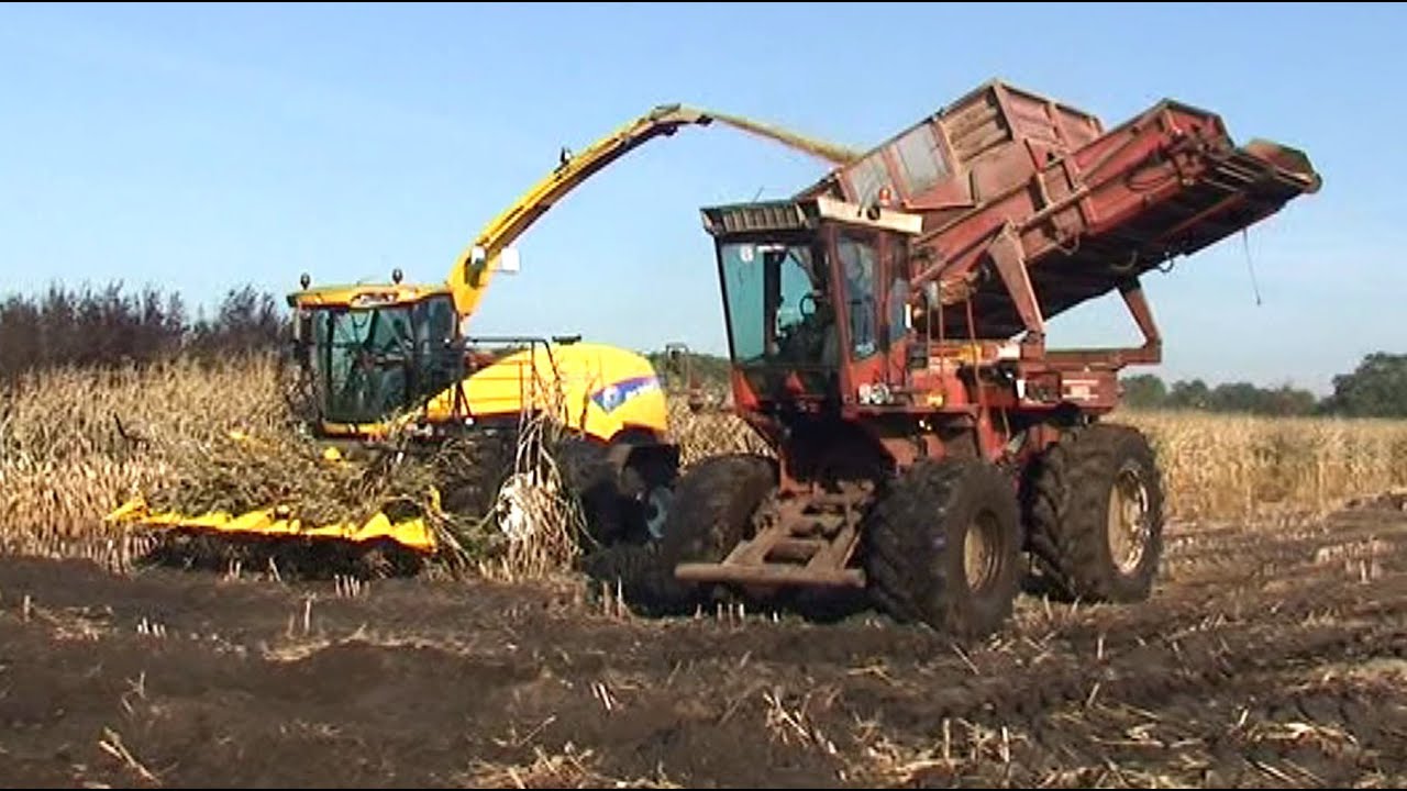 Maïs 2011 | Hesston 7730 voor de natte hoeken | Newe Holland T8 | Case IH Magnum 225 | Prenger | Wet