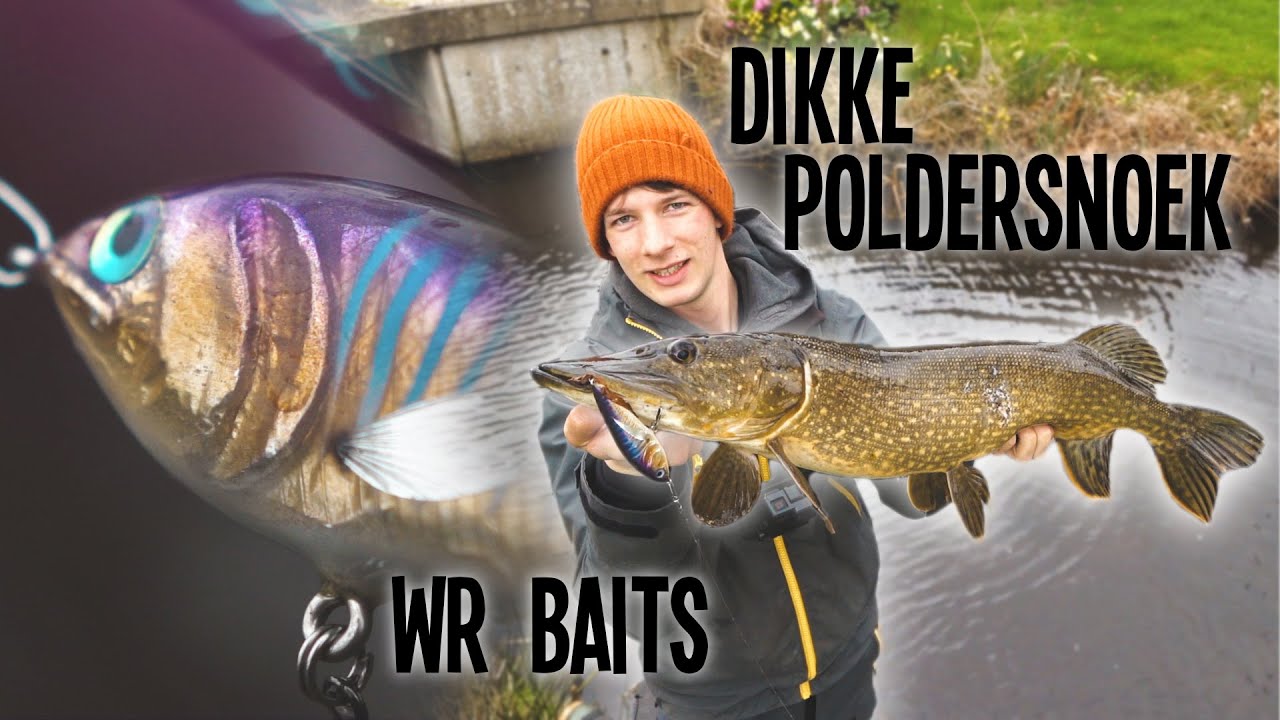 Dikke Poldersnoeken Op Zelfgemaakt Kunstaas - VisTD Vlog #15