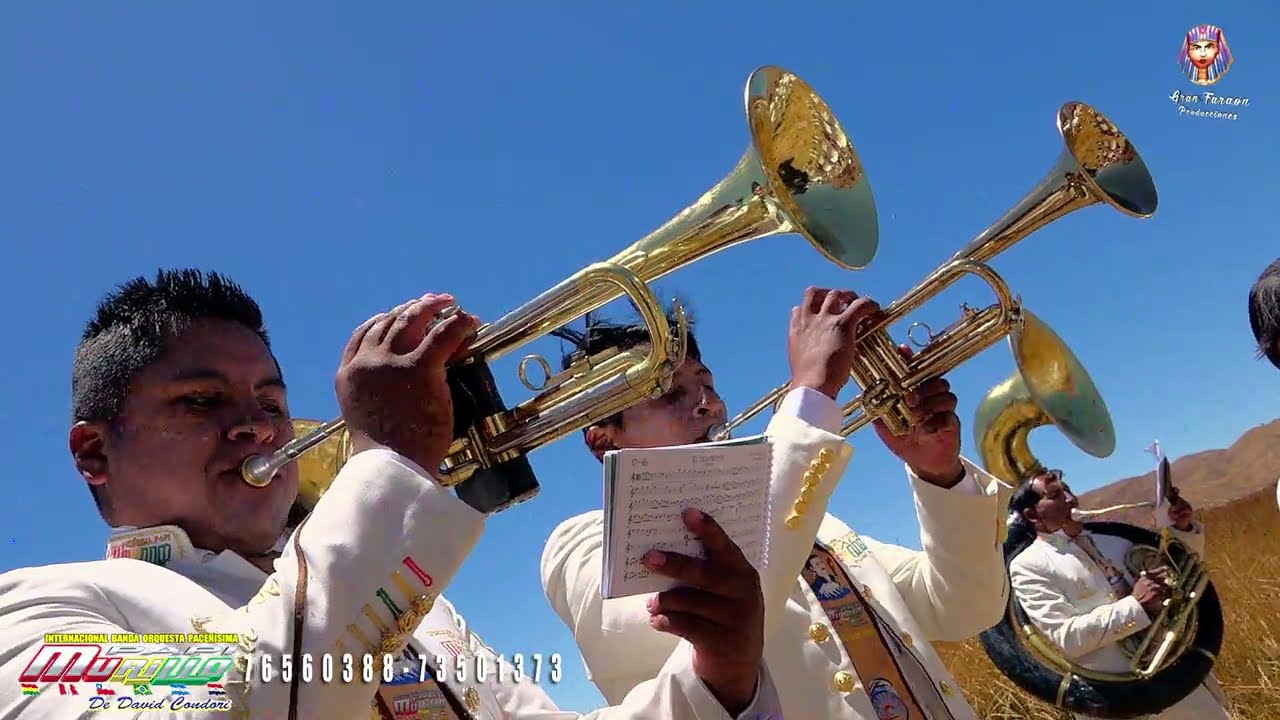 INTERNACIONAL BANDA ORQUESTA PACE&Ntilde;ISIMA PAPI MURILLO - Disco Soledad de Ronisch