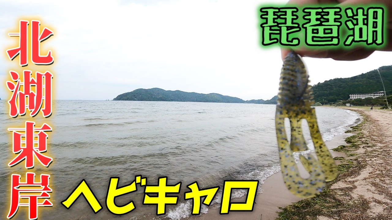 バルビュータでヘビキャロしたらめっちゃ喰う！琵琶湖北湖東岸でdepsバルビュータの反応がやばい！【琵琶湖バス釣り】
