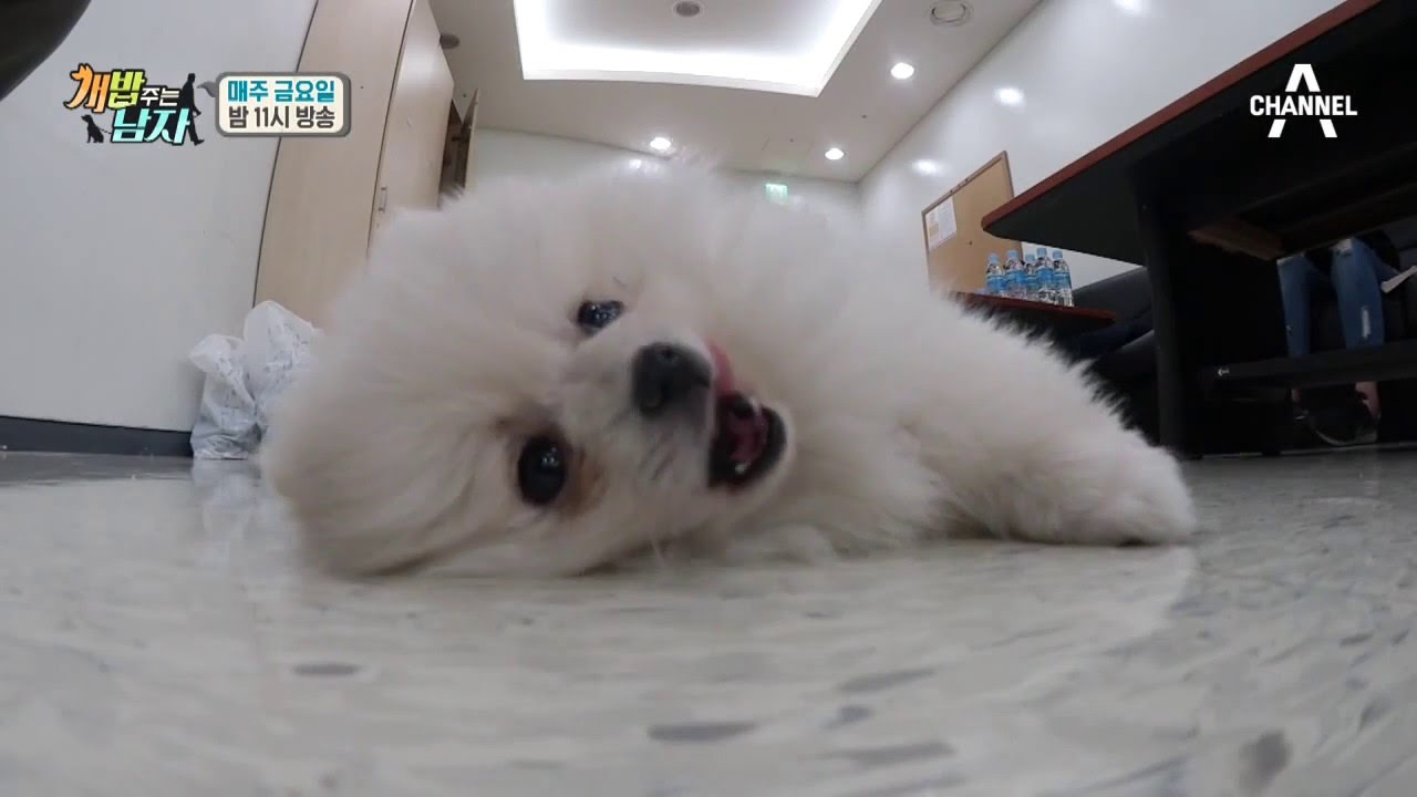 [웹오리지널] 대기실 미공개 영상! 옥희와 사랑스런 아이컨텍♡
