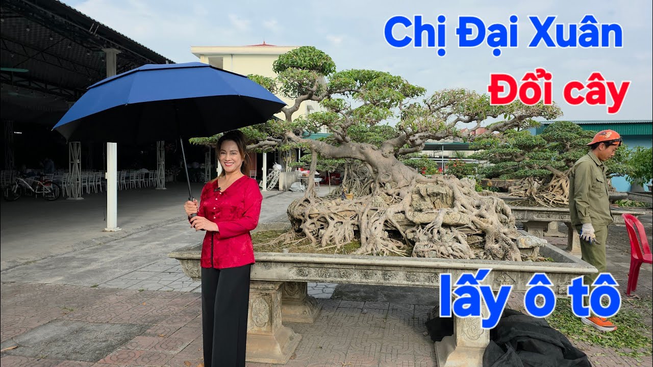 Thăm vườn Chị Đẹp, Chị là Một người Doanh nhân Thành Đạt VCV . Về Chơi Bon sai chị chia sẻ rất CT