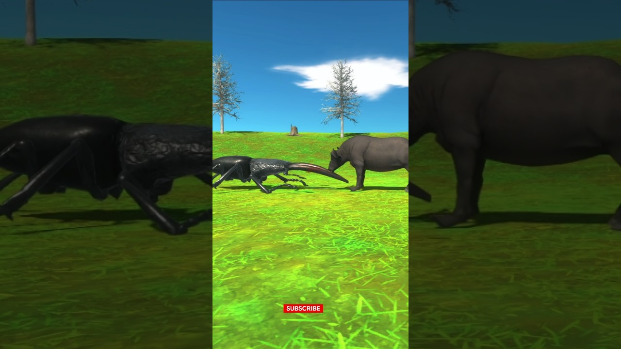 Can a Giant Stag Beetle Fight a Cape Buffalo Attack Ep-6
