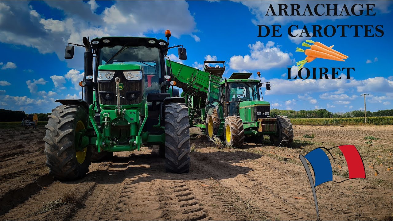 ARRACHAGE DE CAROTTES 2020 🥕ll LOIRET ll FRANCE 🇨🇵