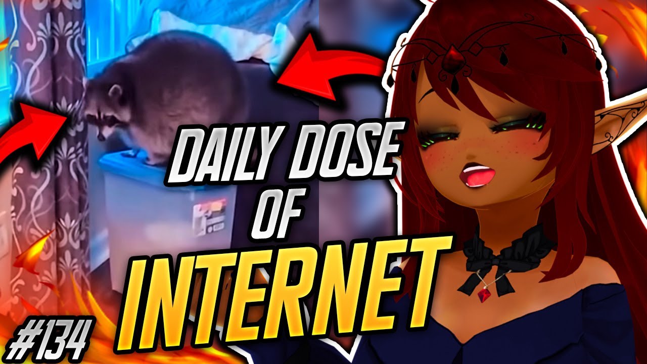 CHONKY BOY NOOOO!! | Daily Dose of Internet Reaction