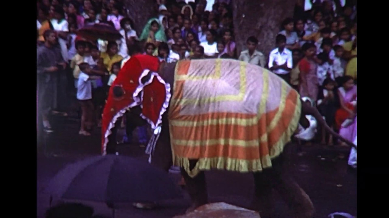 Sri Lanka elephant parade 1978
