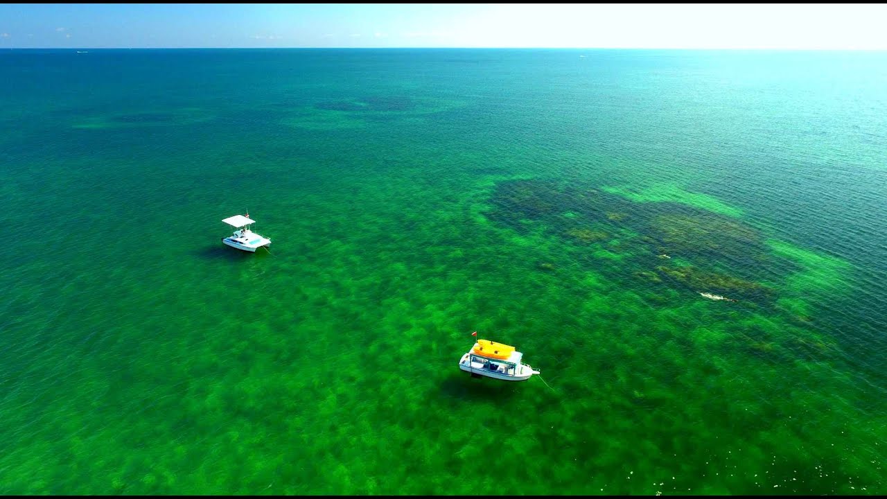 Honest Eco - Genuine Key West Eco Tours
