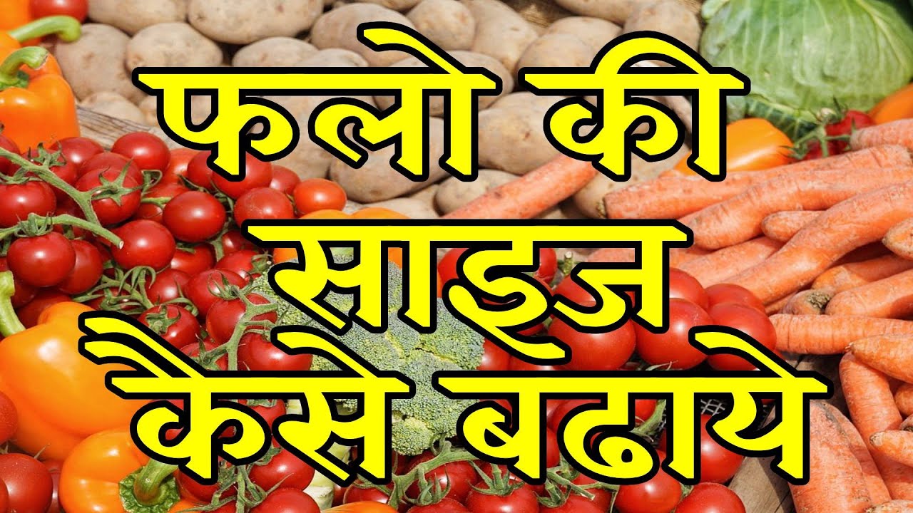 how to increaase fruit size/how to increase weight & quality in any crop