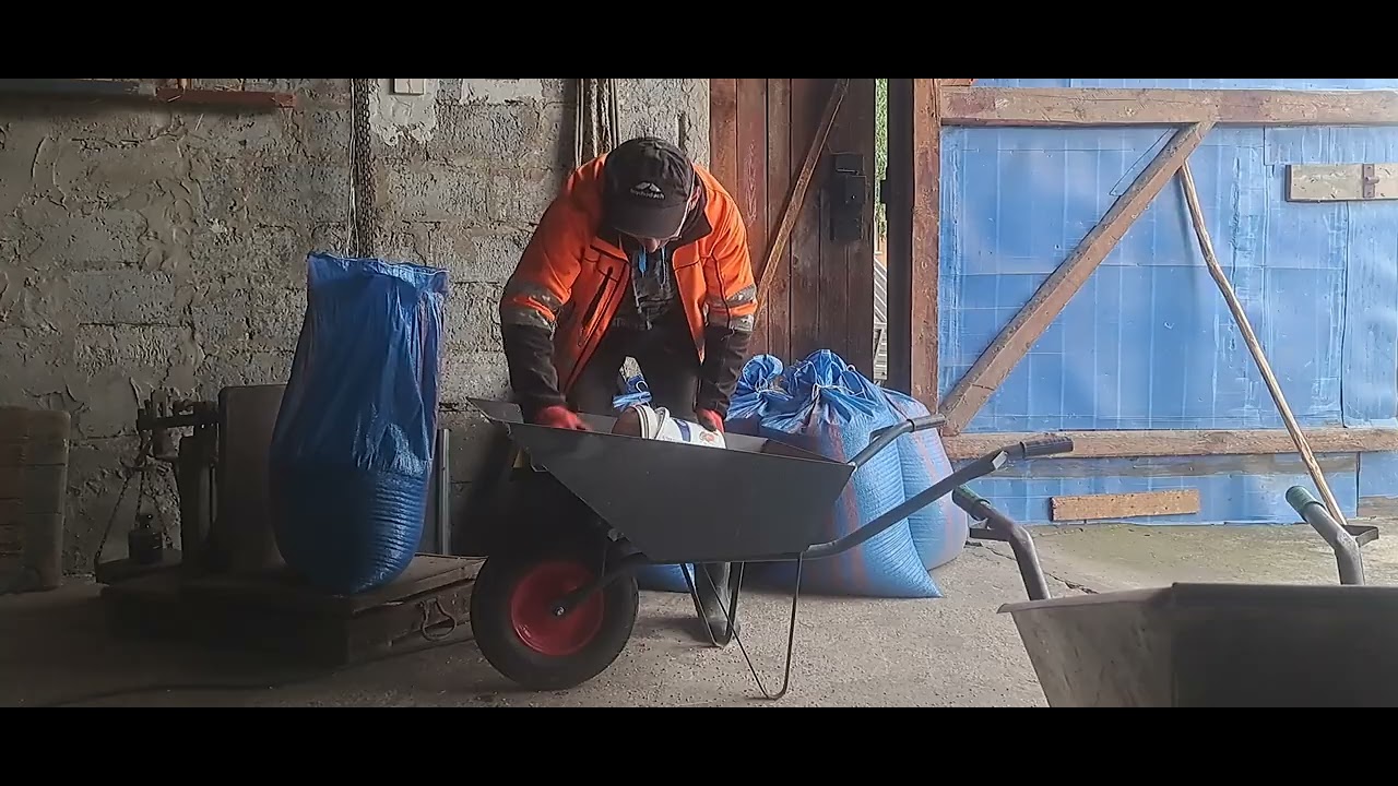 Zaprawianie  zboża  do siewu  betoniarka  waga i naprzód 