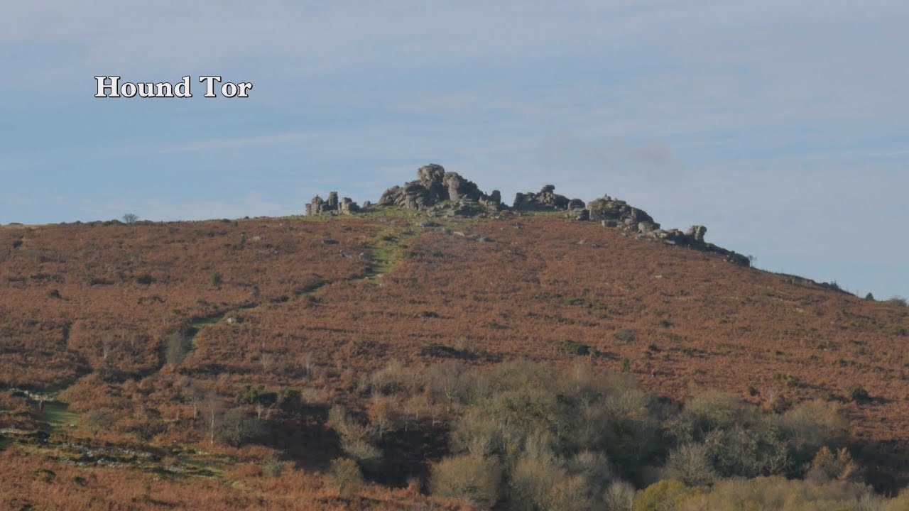 Trendlebere Down