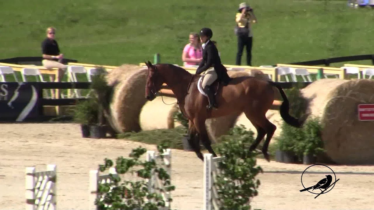 The Upperville Colt and Horse Show Hunter Derby 2015