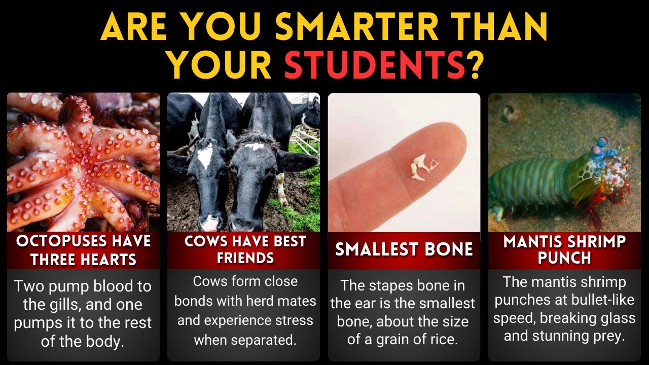 Did You Know These 50 Fascinating Fun Facts for Teachers | Timeline Trek 50