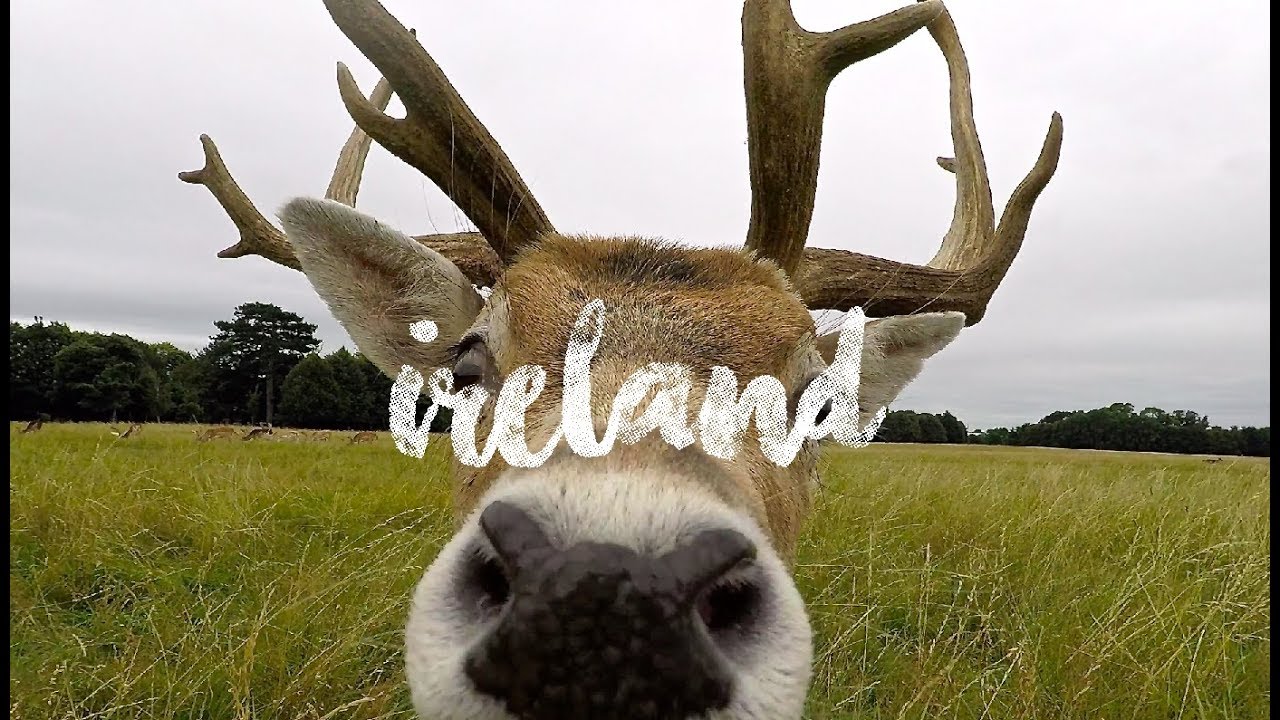 The beauty of IRELAND - GoPro 4K