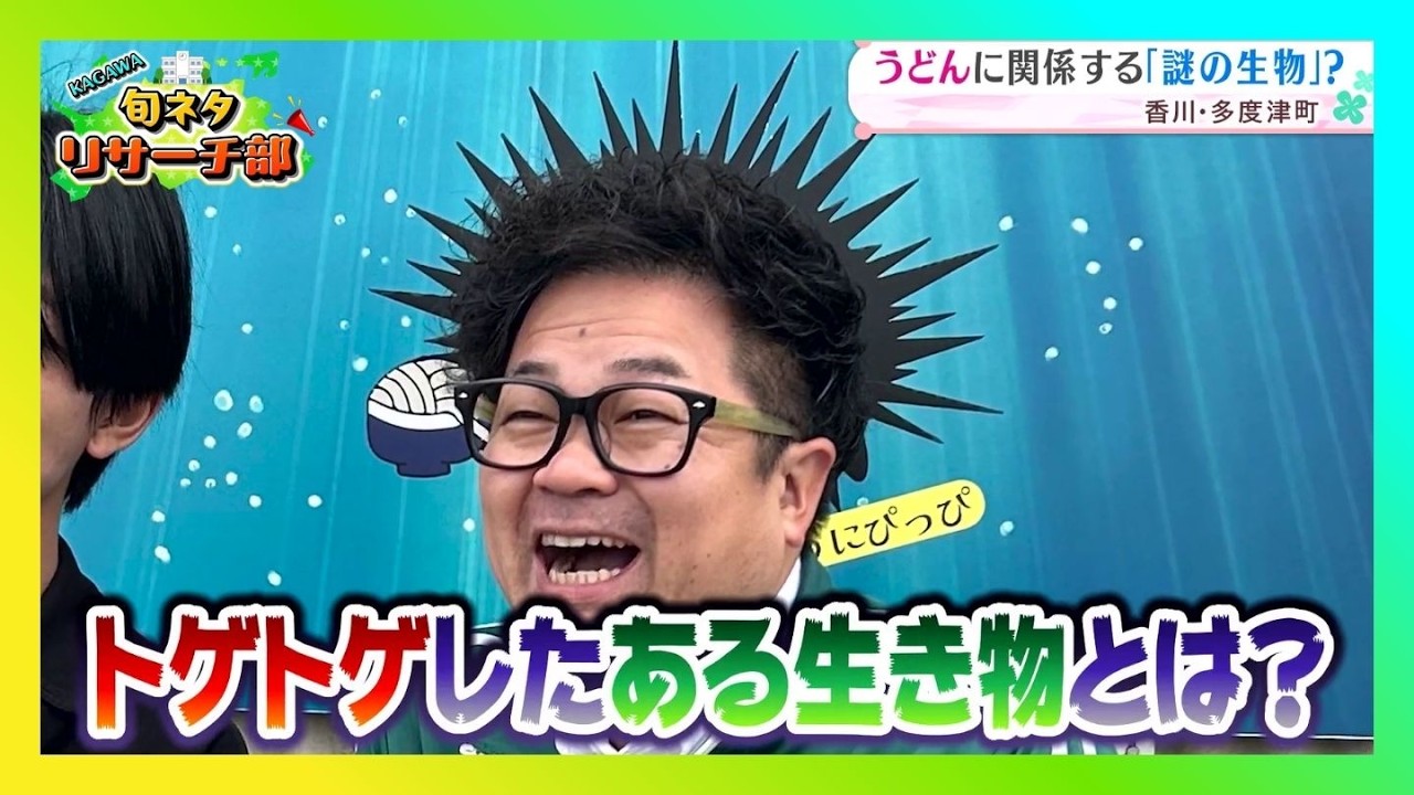 「うどんを食べる○○」！？食品ロスと海の課題を解決するSDGsグルメ！｜KAGAWA旬ネタリサーチ部（2026年3月6日放送）