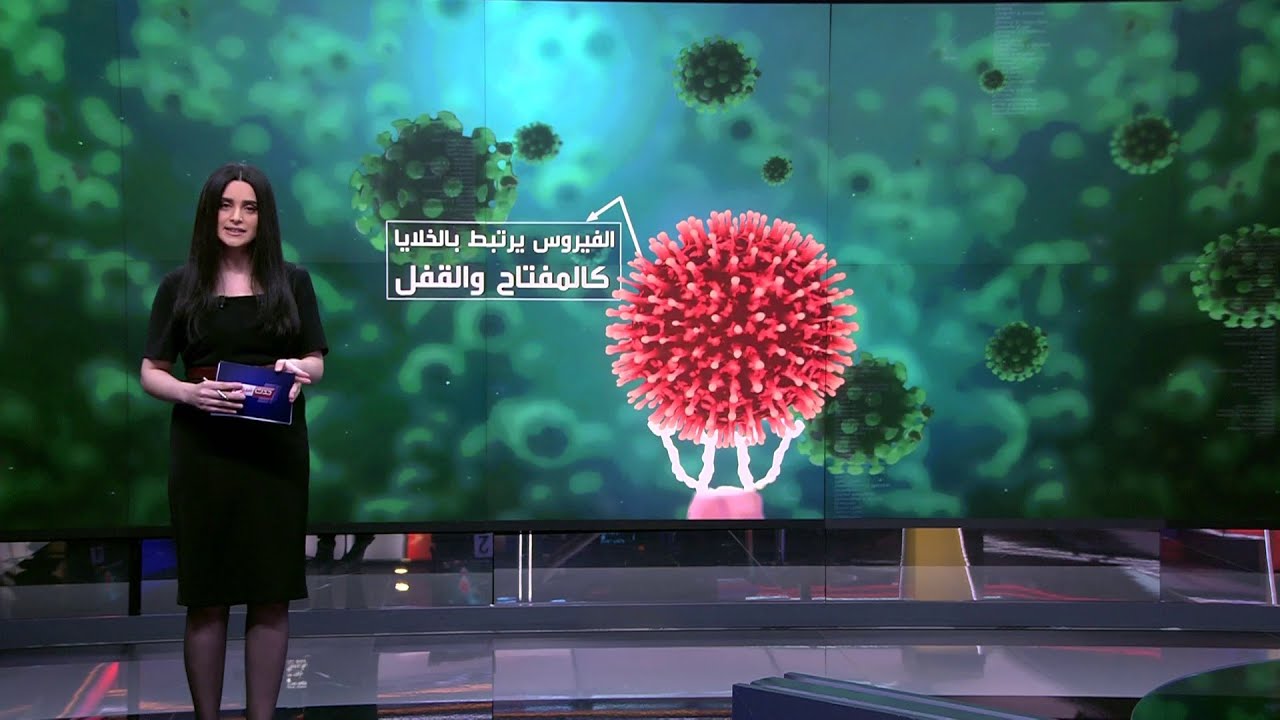 كيف يعمل فيروس كورونا داخل جسم الإنسان؟