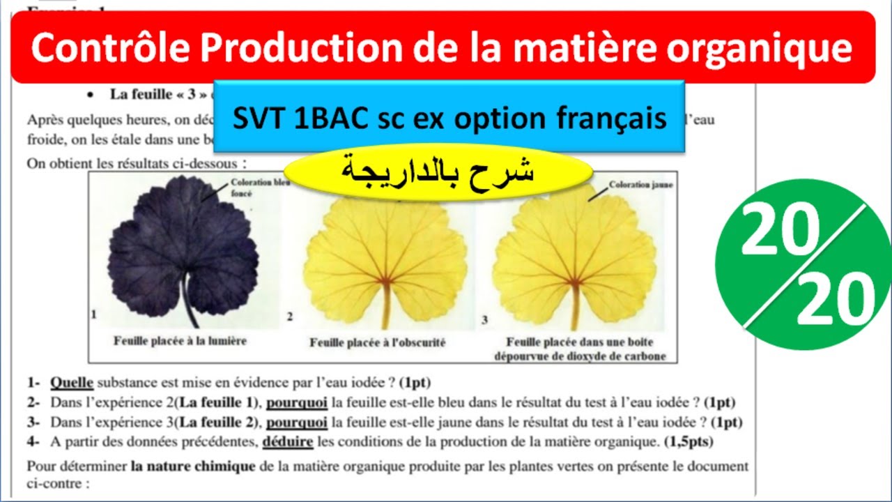 Contrôle la production de la matière organique svt 1BAC (شرح بالداريجة)