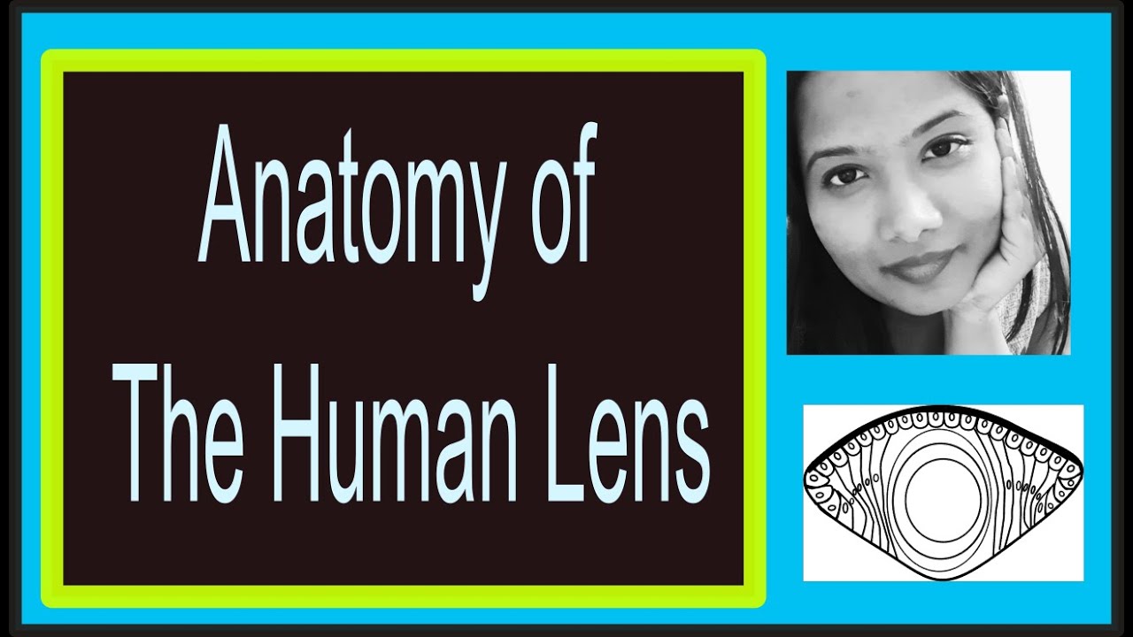 Lens Anatomy (Complete Lecture) | Structure | Development | Layers| Transparency | Human eye|
