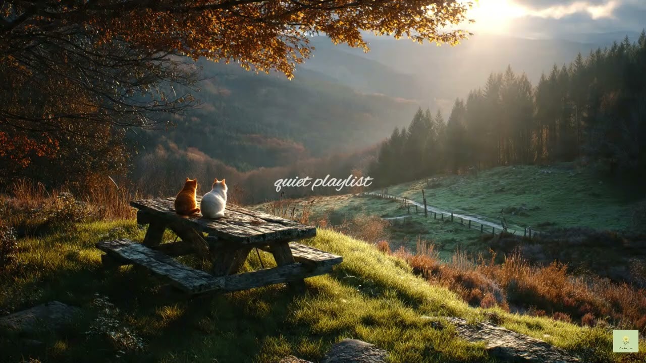 Peaceful Slow Mornings | Calm Piano Background Music