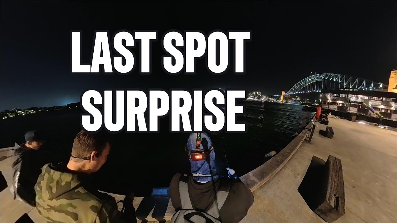 Sydney Harbour fishing moments
