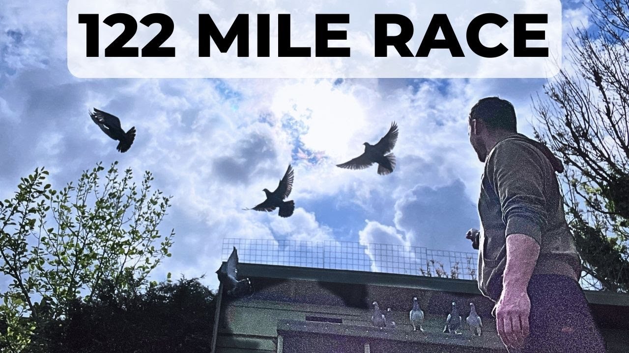 Ep.69 122 Mile Race - Hard Returns!