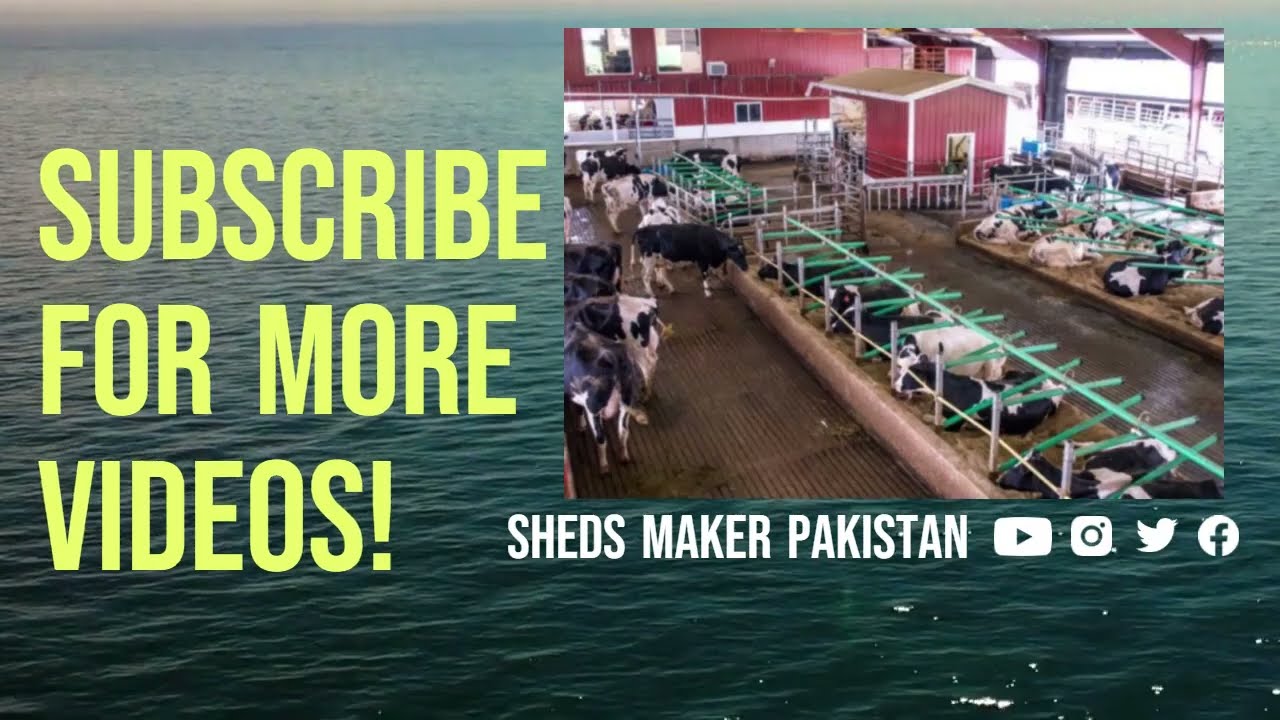 Dairy Shed Sand Bunkers |گائے ریت بینکار